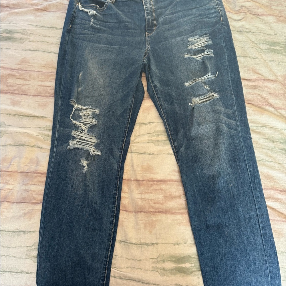 American Eagle Outfitters Blue Denim Jegging